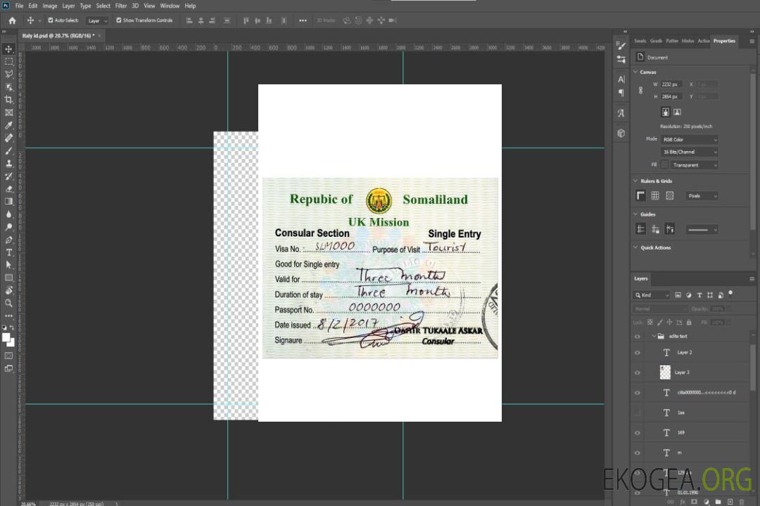 Visa touristique SOMALILAND template